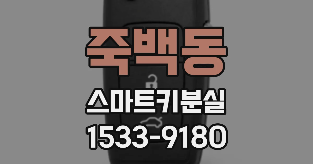 죽백동 스마트키분실