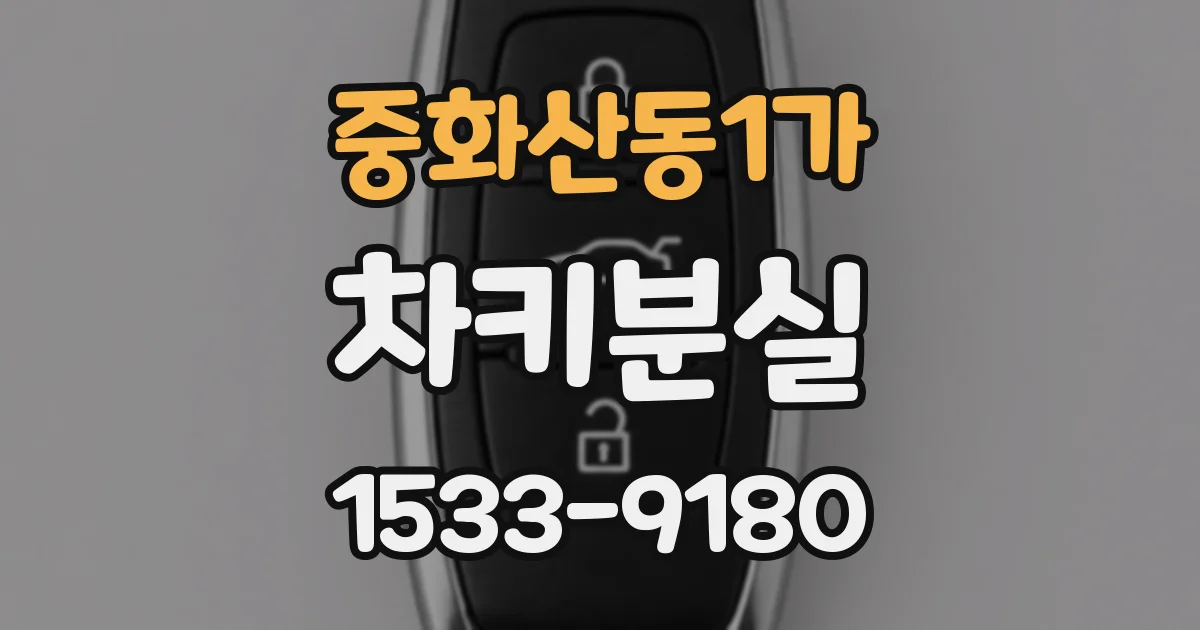 중화산동1가 차키분실