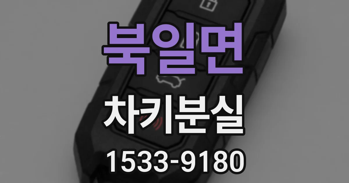 북일면 차키분실