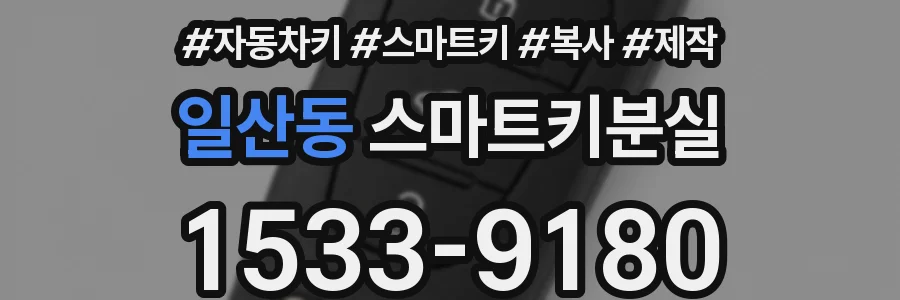 일산동 스마트키분실
