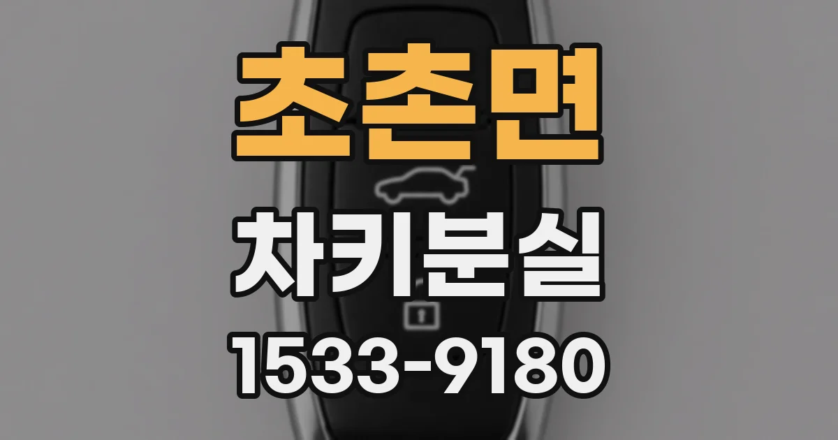 초촌면 차키분실