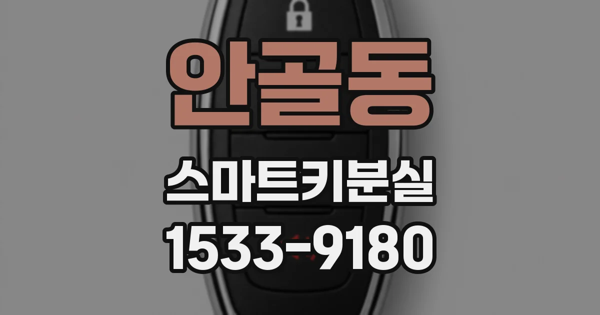 안골동 스마트키분실