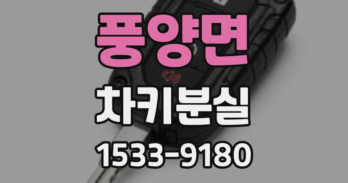 풍양면 차키분실