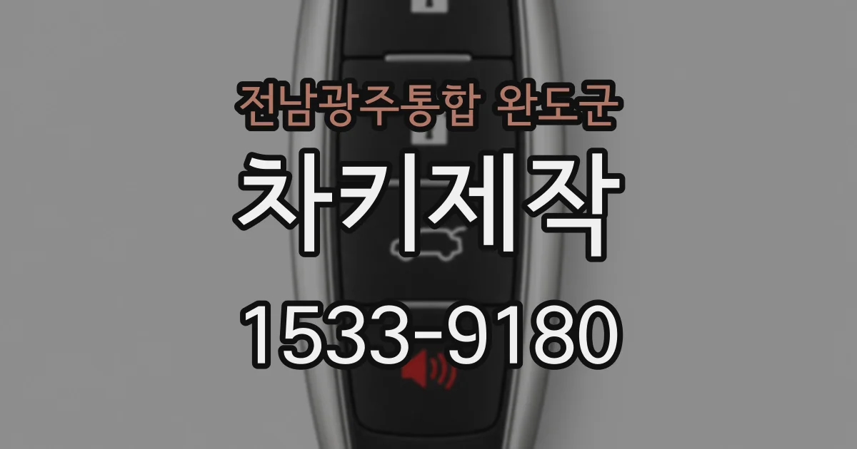 전남광주통합 완도군 차키제작