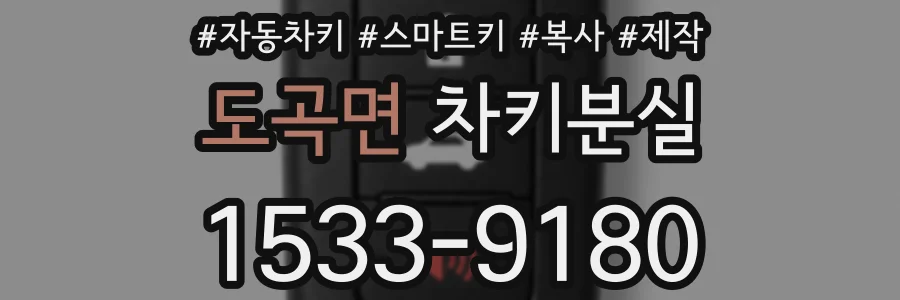 도곡면 차키분실
