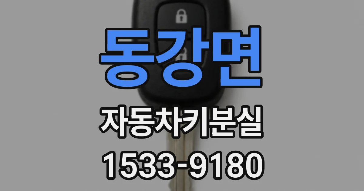 동강면 자동차키분실