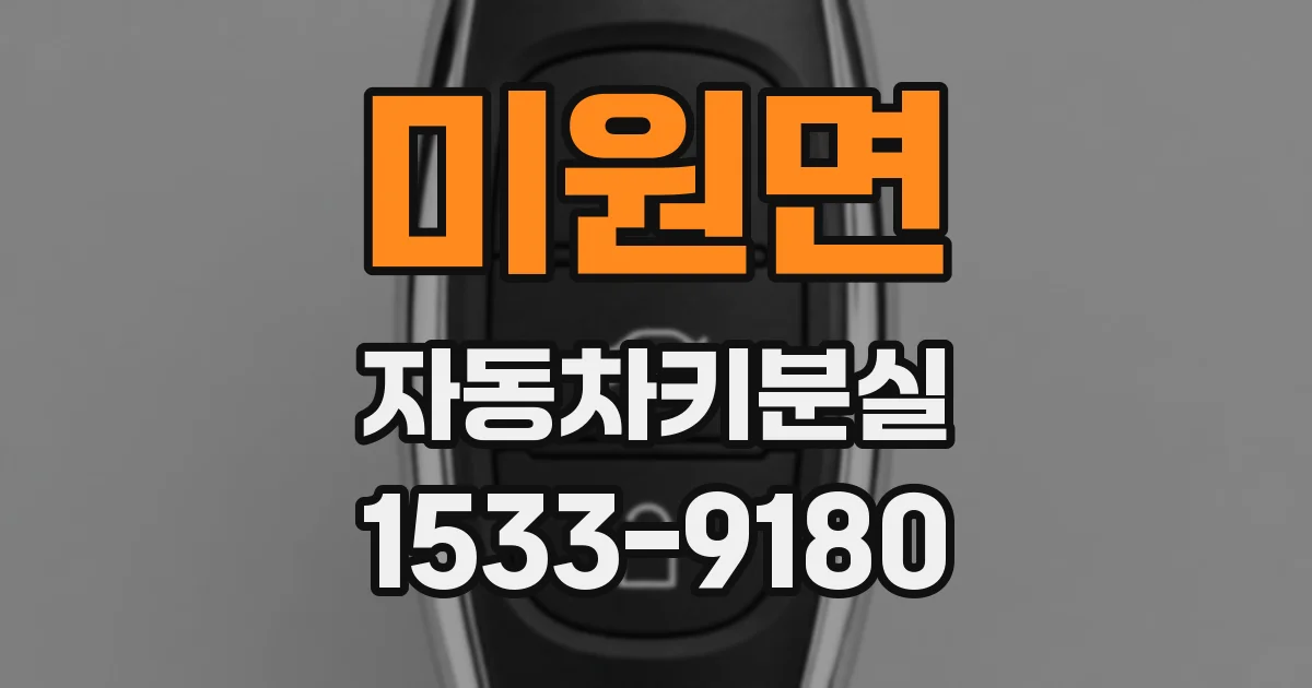 미원면 자동차키분실