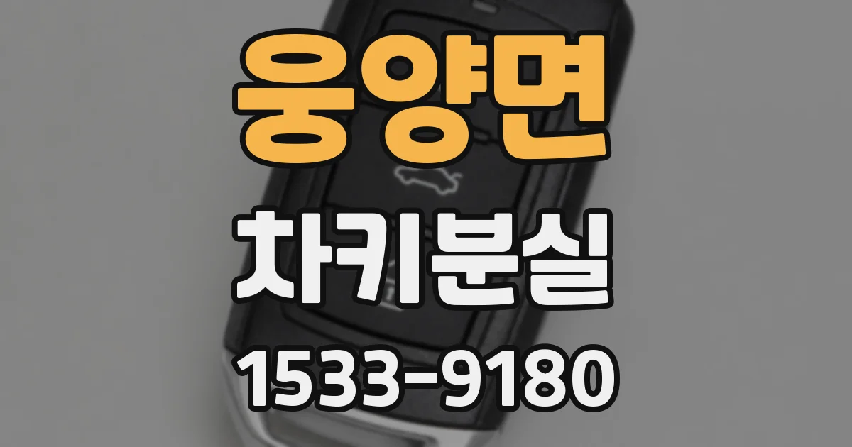 웅양면 차키분실