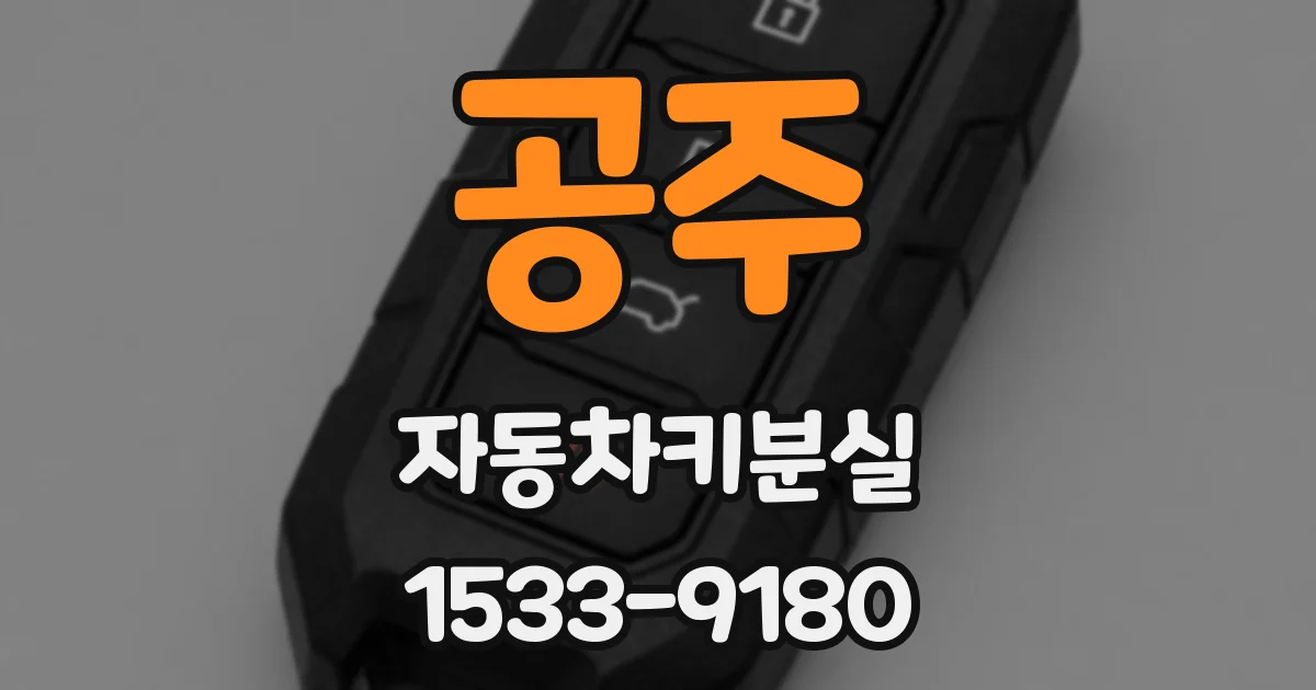 공주 자동차키분실