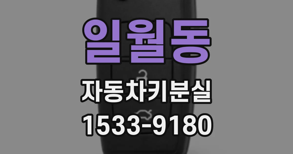 일월동 자동차키분실
