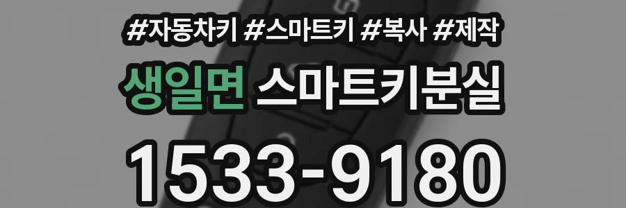 생일면 스마트키분실