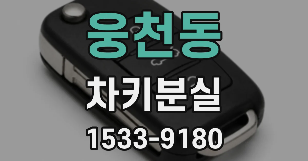 웅천동 차키분실