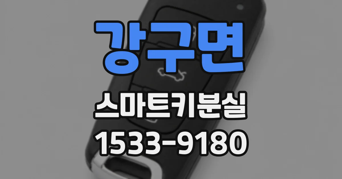 강구면 스마트키분실