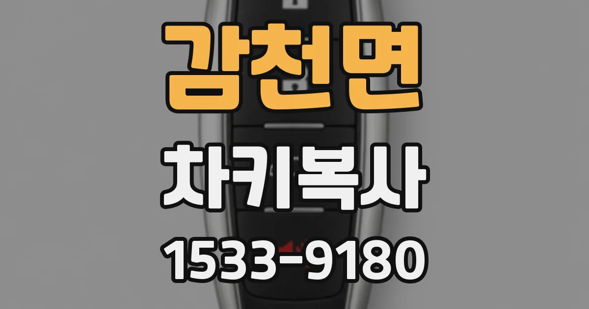 감천면 차키복사