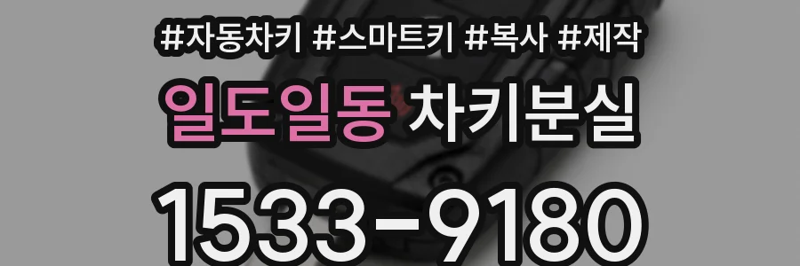 일도일동 차키분실
