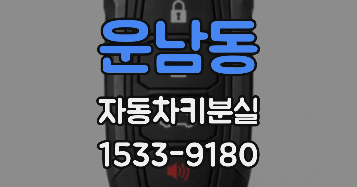 운남동 자동차키분실