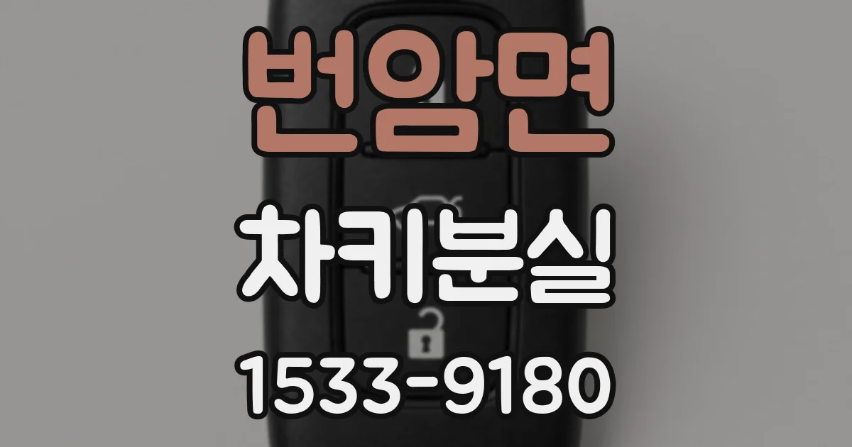 번암면 차키분실