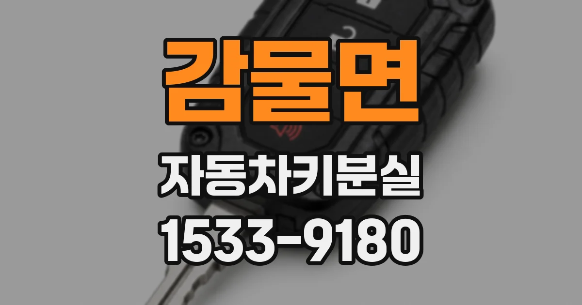 감물면 자동차키분실