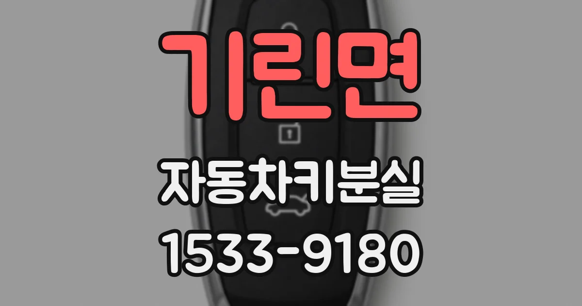 기린면 자동차키분실