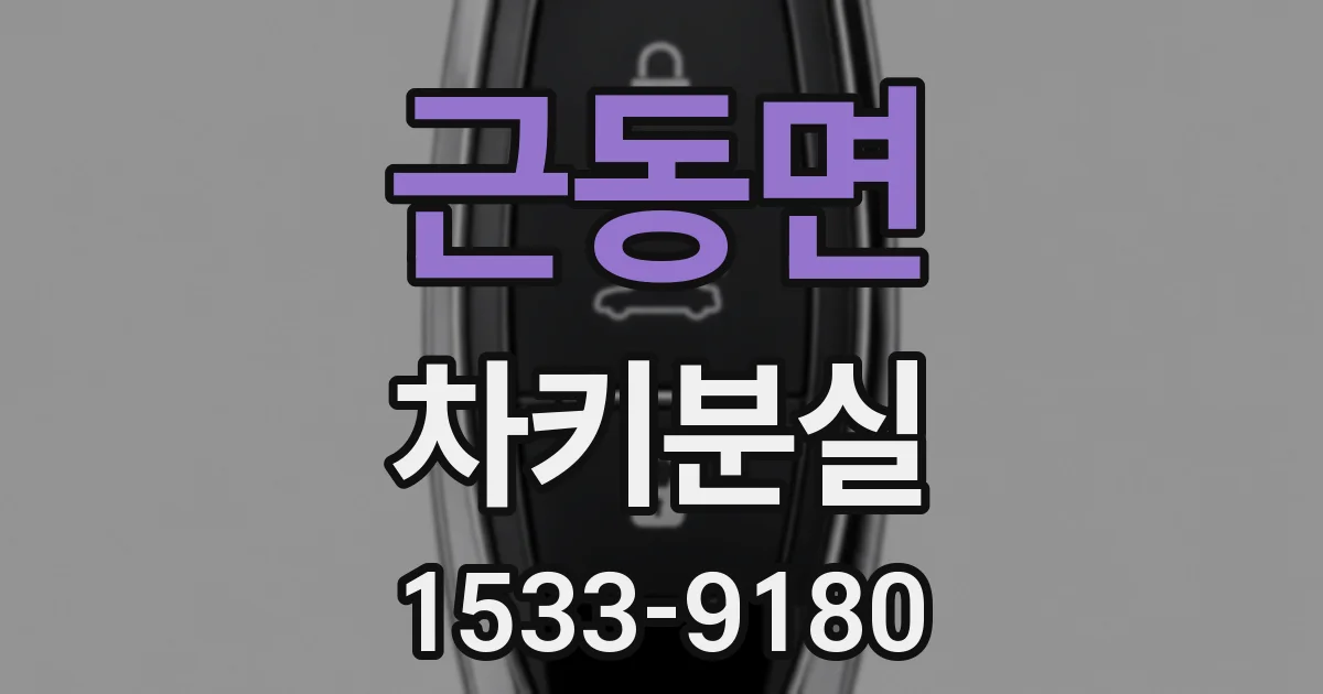 근동면 차키분실
