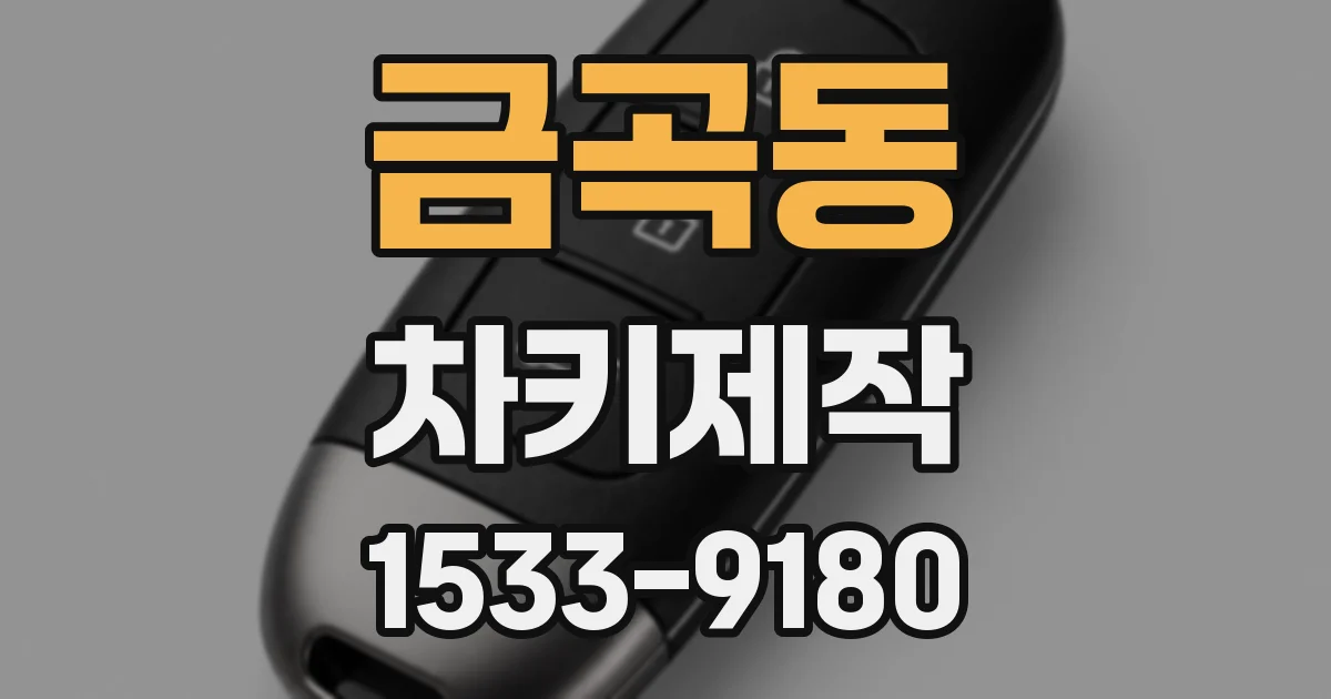 금곡동 차키제작