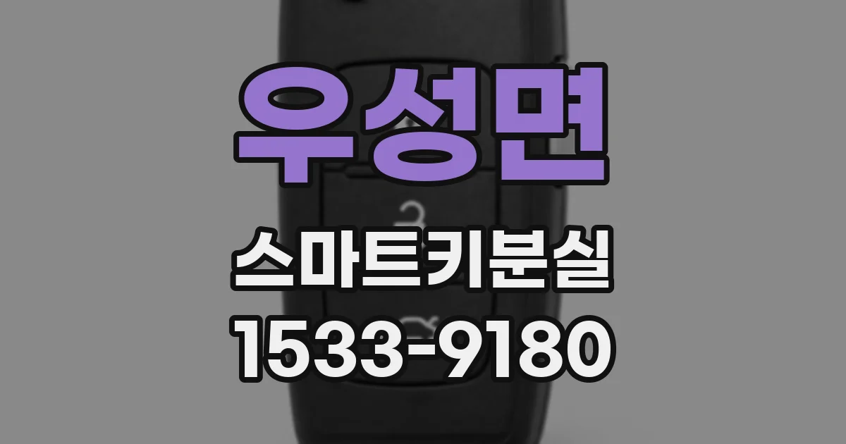 우성면 스마트키분실