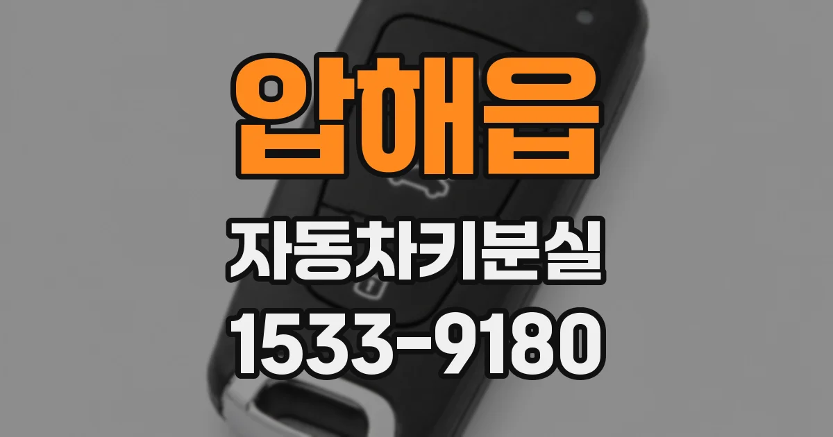 압해읍 자동차키분실