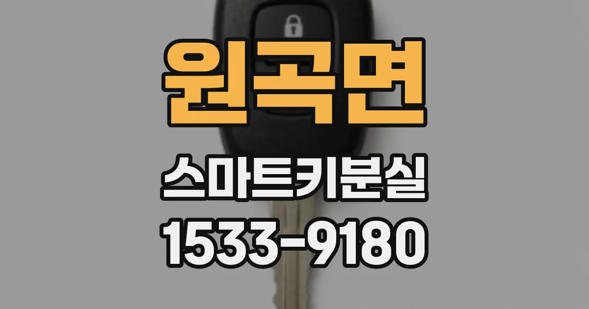 원곡면 스마트키분실