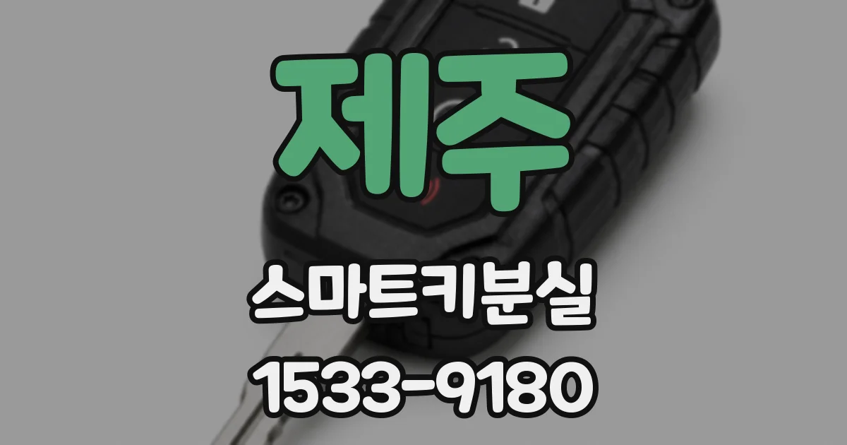 제주 스마트키분실
