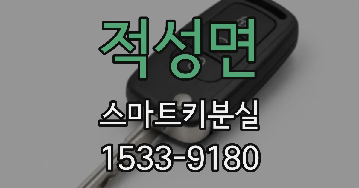 적성면 스마트키분실