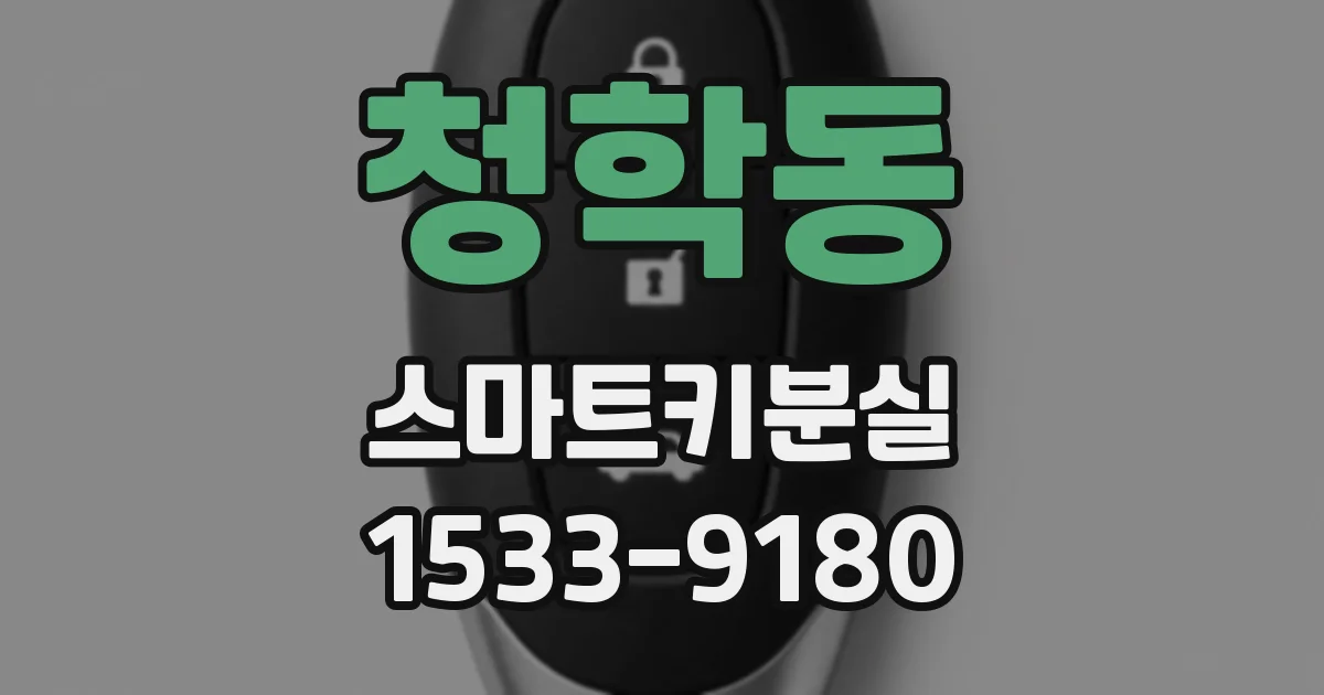 청학동 스마트키분실