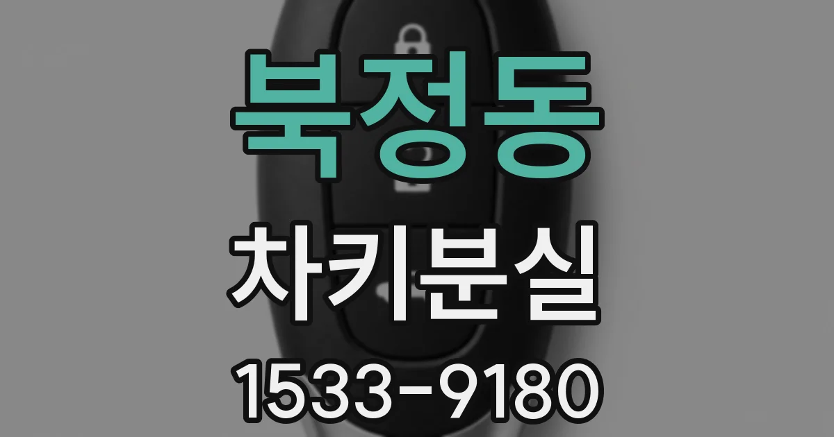 북정동 차키분실