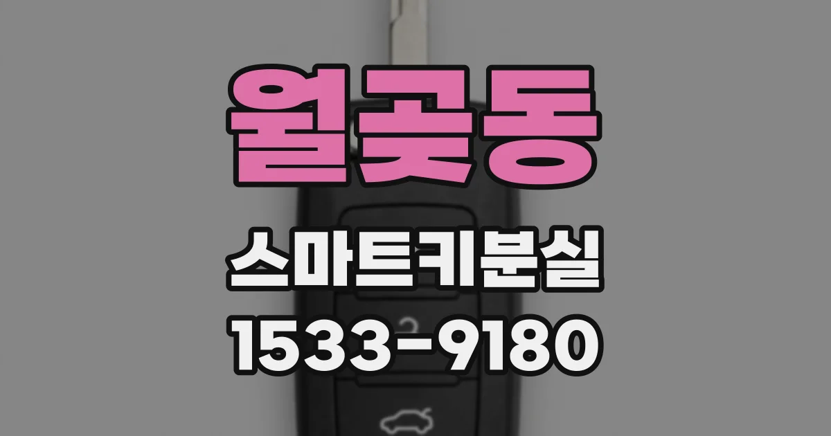 월곶동 스마트키분실