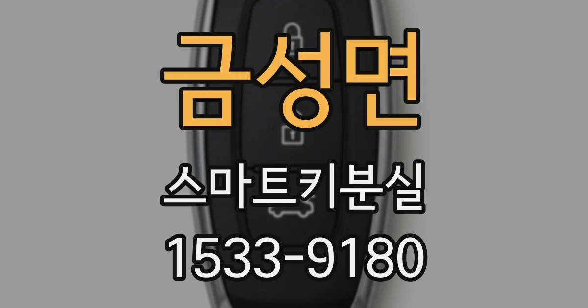 금성면 스마트키분실
