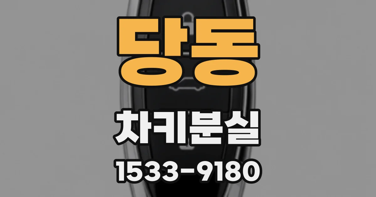 당동 차키분실