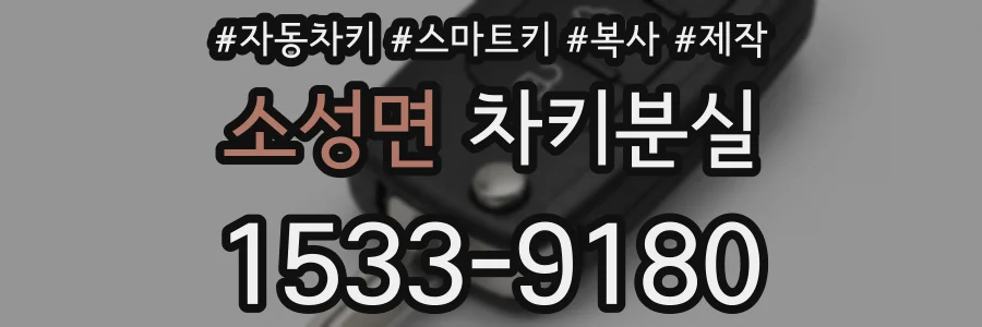 소성면 차키분실
