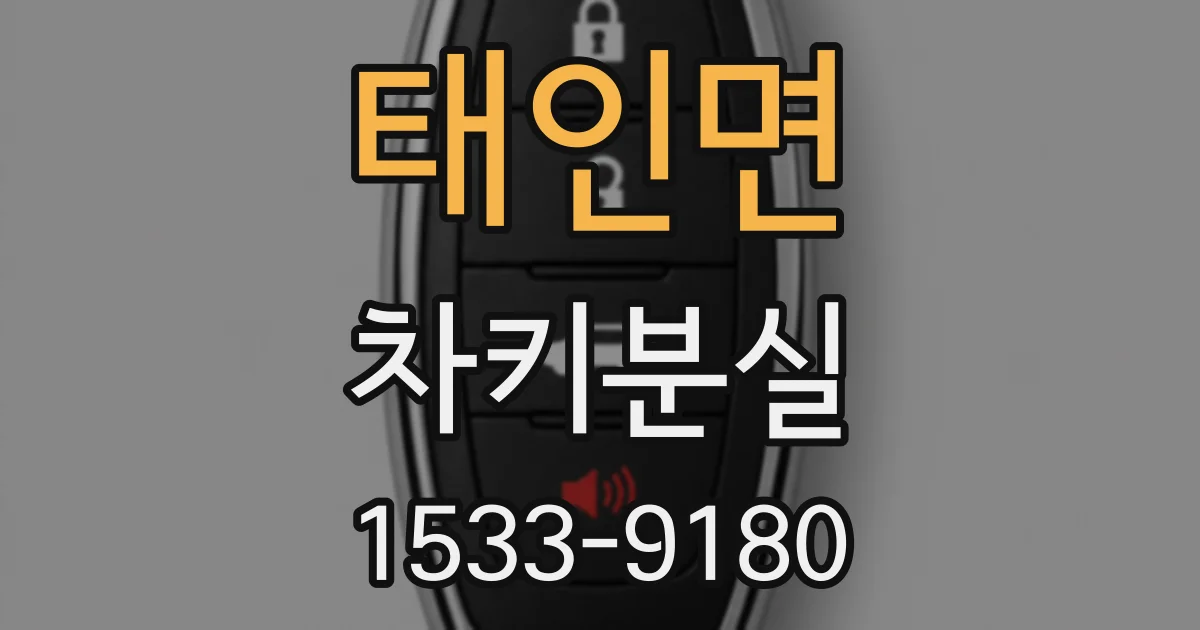 태인면 차키분실