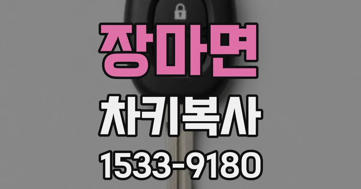 장마면 차키복사