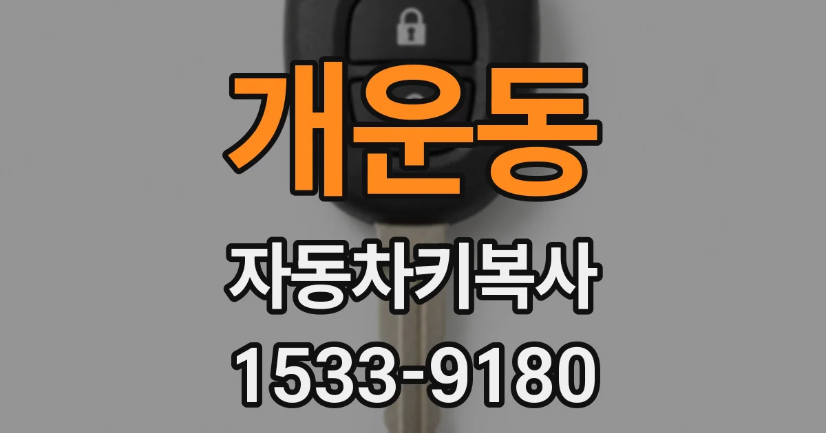 개운동 자동차키복사