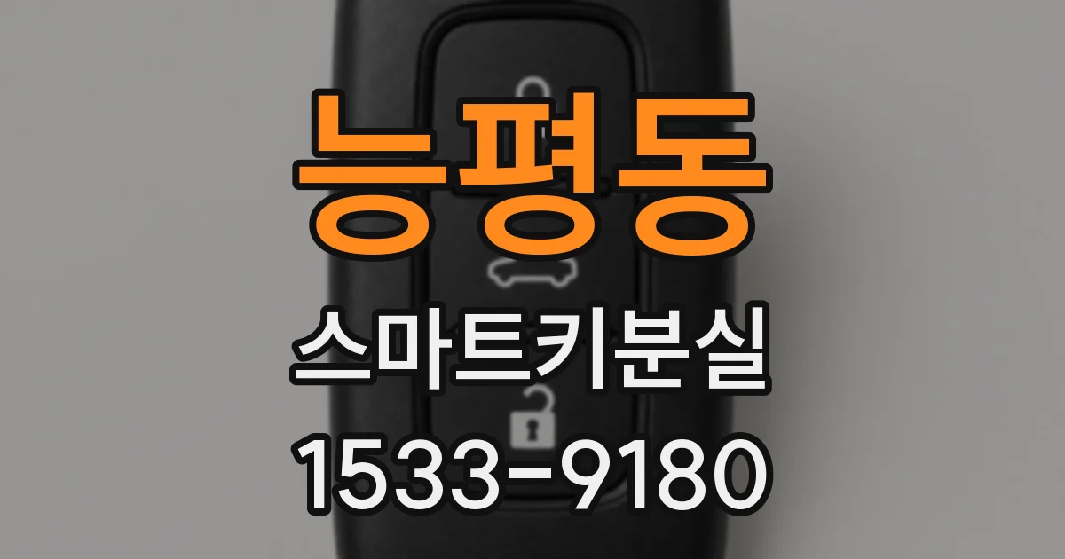 능평동 스마트키분실