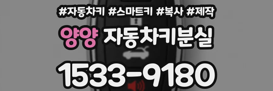 양양 자동차키분실