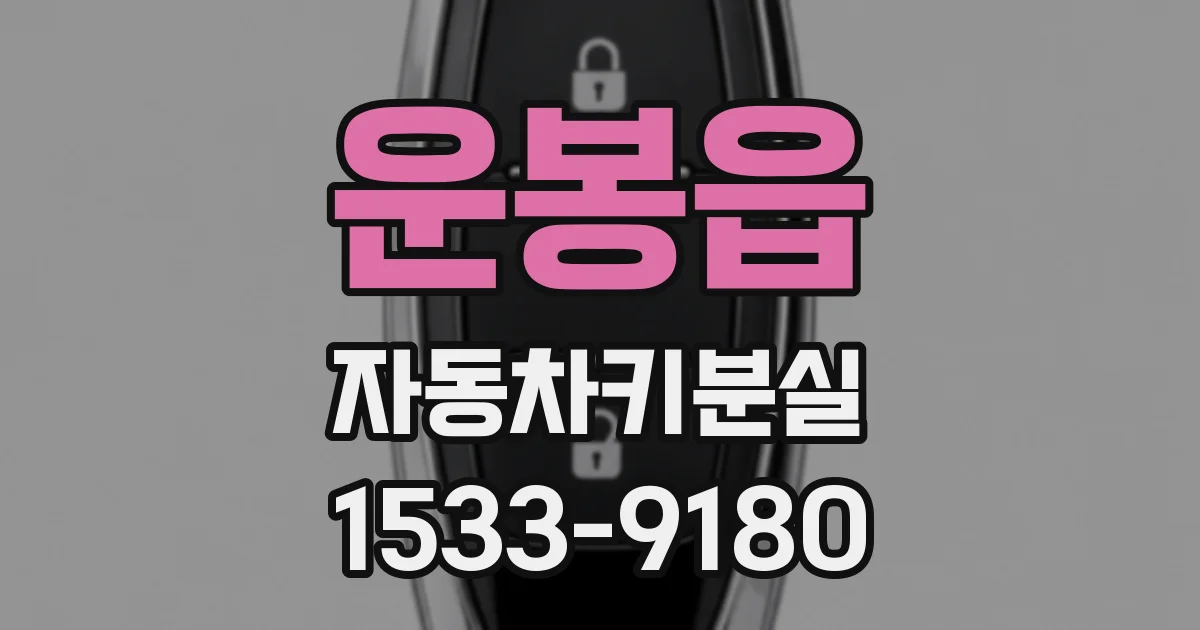 운봉읍 자동차키분실