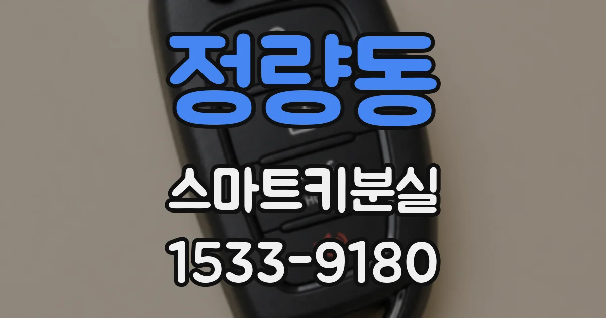 정량동 스마트키분실