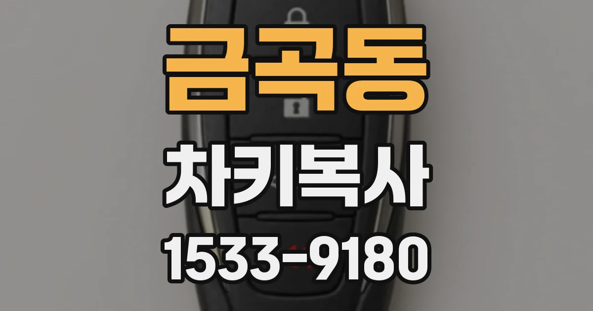 금곡동 차키복사