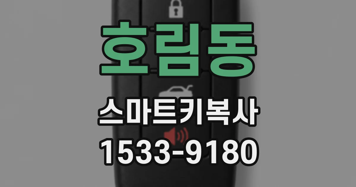 호림동 스마트키복사
