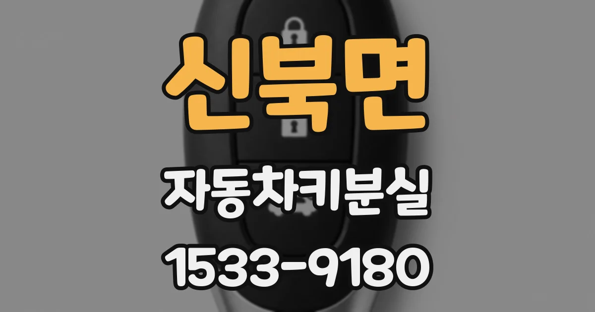 신북면 자동차키분실