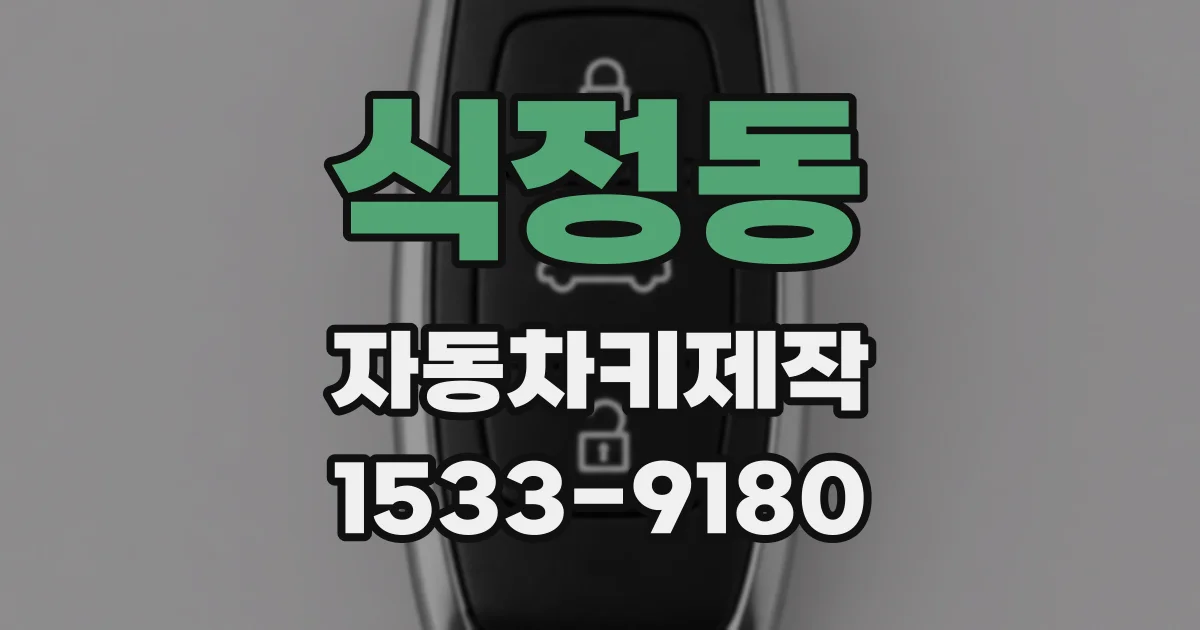 식정동 자동차키제작