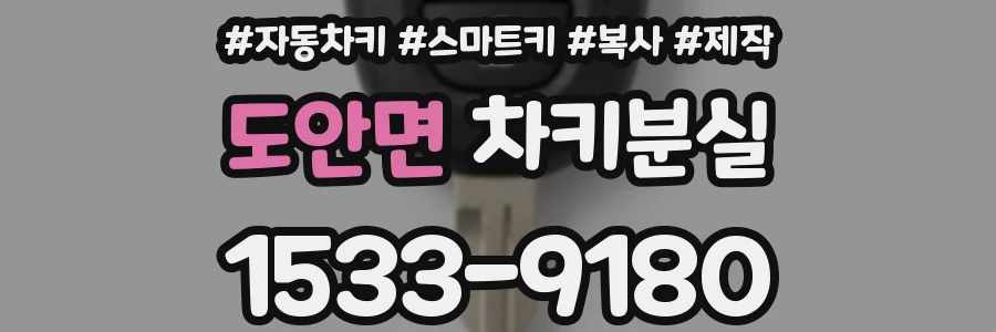 도안면 차키분실
