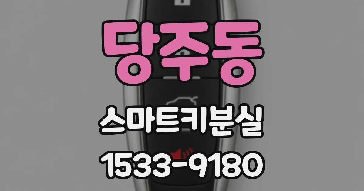 당주동 스마트키분실