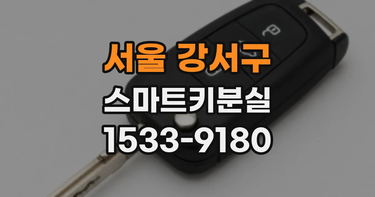서울 강서구 스마트키분실